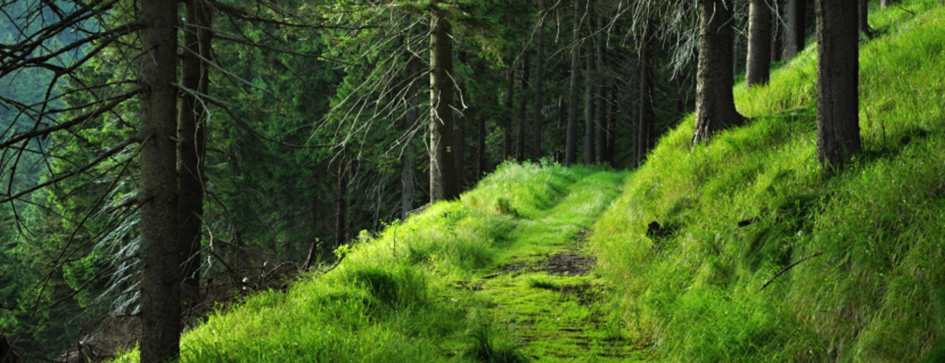 Štol & Tuháček s.r.o. Advokátní kancelář<br><b>AKKT</b>